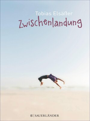 cover image of Zwischenlandung